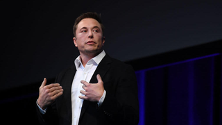 Illustration for article titled Elon Musk Reveals His Cyborg Pigs